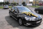 Zdj�cie: 00010.jpg