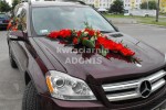 Zdj�cie: 00012.jpg