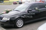 Zdj�cie: 00018.jpg