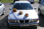 Zdj�cie: 00020.jpg