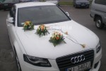 Zdj�cie: 00026.jpg