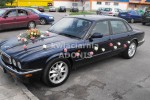 Zdj�cie: 0008.jpg