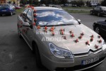 Zdj�cie: 2a.jpg