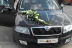 Zdj�cie: skoda11111.jpg
