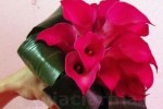 Zdj�cie: 0522.jpg