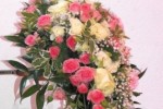 Zdj�cie: 0523.jpg
