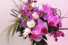 Zdj�cie: 0602.jpg