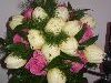 Zdj�cie: 0215.jpg