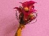 Zdj�cie: 0110.jpg