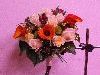 Zdj�cie: 0205.jpg
