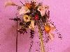 Zdj�cie: 0311.jpg