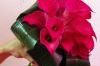 Zdj�cie: 0522.jpg
