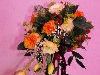 Zdj�cie: 0303.jpg