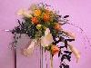 Zdj�cie: 0307.jpg