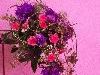 Zdj�cie: 0309.jpg