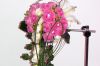 Zdj�cie: 0617.jpg